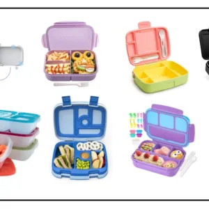 Read more about the article 10 Best Lunch Boxes for Adults of 2024: Tested and Reviewed